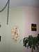 Click to view full size Thumbnail image for gallery/interior/arizona-interior-painting.jpg
